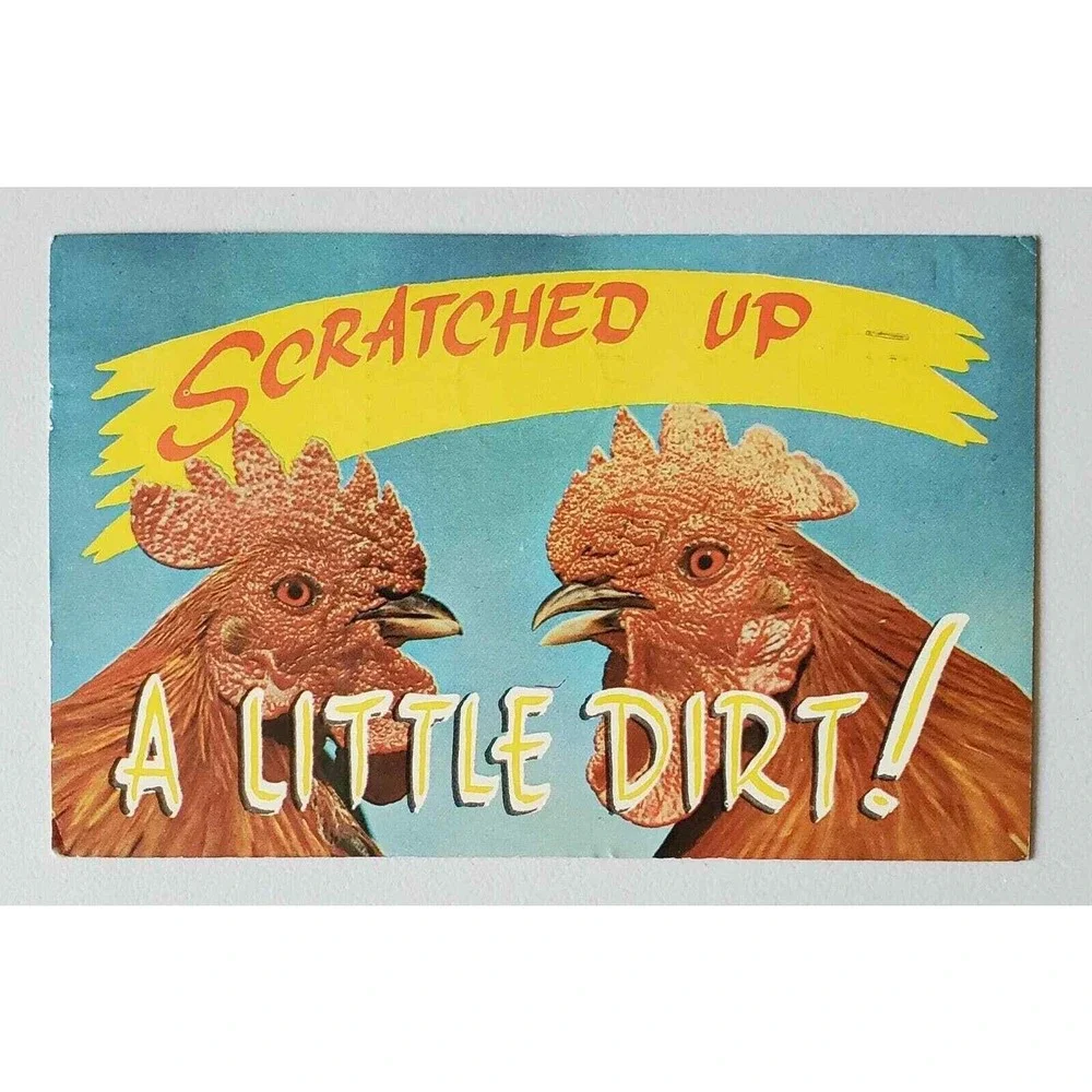 Roosters Scratched Up A Little Dirt Greetings Lake‎ Como PA Funny Humorous
